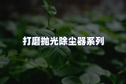 打磨抛光除尘器